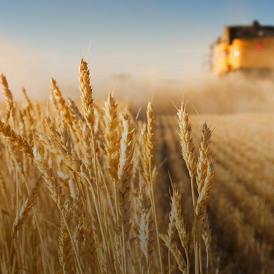 AgroTradingGroup